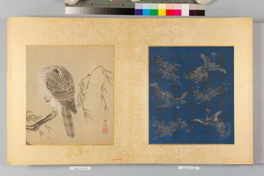 Album of Hawks and Calligraphy