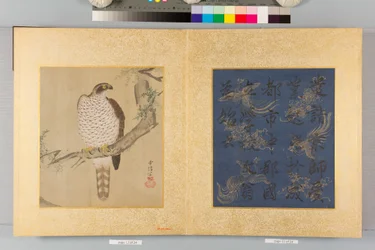 Album of Hawks and Calligraphy