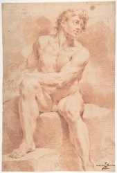 Seated Male Nude