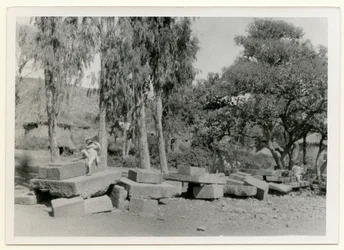 Remains of stone platforms, also known as King Thrones, Axum, Ethiopia
