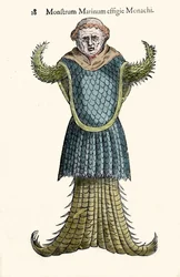 The sea monk, imaginary fish and marine monster by Ulisse Aldrovandi (1522-1605), Monstrorum Historiae, Bologna 1642