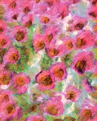 Dreamy Pink Blooms