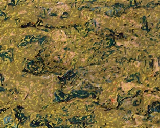 Earthy Abstract Texture