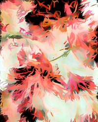 Vibrant Floral Abstract