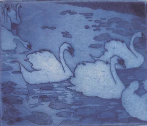 Swans