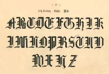 16th Century Gothic Manuscript