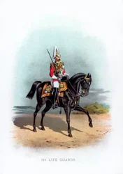 1st Life Guards