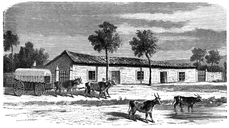 A Boer farm, South Africa