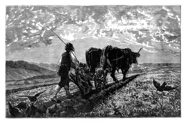 A French agriculturist