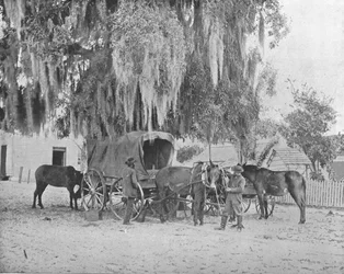 A Merchant from San Antonio, Texas, USA