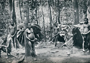 A Pygmy Village, North-East Congo Basin