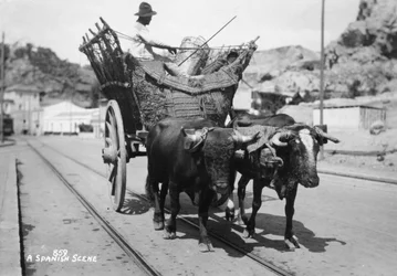 A Spanish Scene