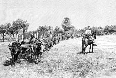 A Convoy of Wagons, South America