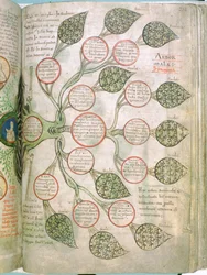 A Page from Liber Floridus
