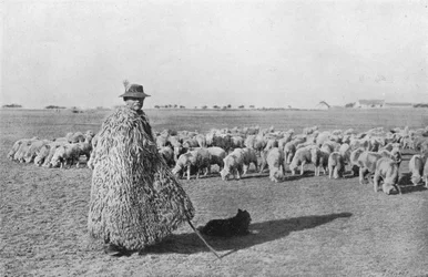 A typical shepherd and his flock on the plains of Hungary