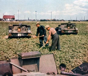 Abandoned French tanks in a field, Dunkirk, France, 1940