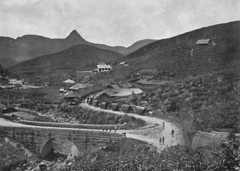 Adamspik and Brownlow Tea Plantation