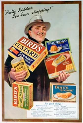 Advert for Birds Foods