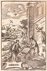 Animal Feeding: Woman Buying Fish from a Fishmonger, Men Releasing Birds from Cages and Hunting Scene