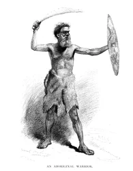 An Aboriginal Warrior
