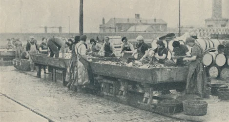 An Important Part of the Industry. Scottish Girls Busy Gutting at Yarmouth