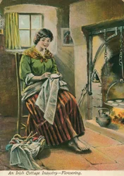 An Irish Cottage Industry - Flowering