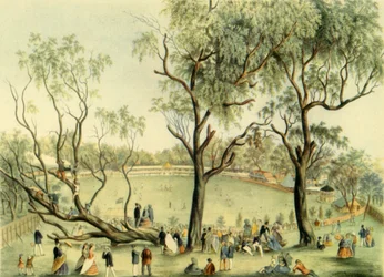 An XI of England v. XXII of Victoria at Melbourne, 1864, 1947