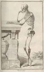 Anatomy. From Encyclopédie by Denis Diderot and Jean Le Rond d