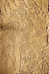 Angkor Wat, Carved Detail on Wall Tree