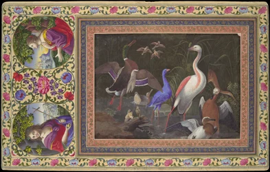 Aquatic Birds at a Pool, Folio from the Davis Album