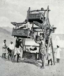 Arabian Children Enjoying a Big-Wheel