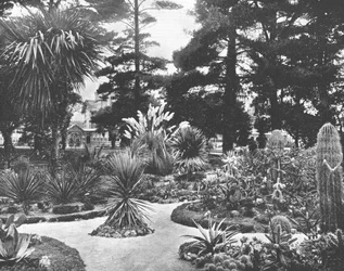 Arizona Garden, Monterey, California, USA