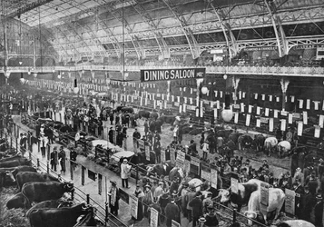 At the Smithfield Club Cattle Show, Agricultural Hall, Islington, London