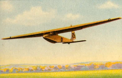 BSV Luftikus glider