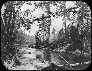 Backwoods, Western USA