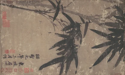 Bamboo