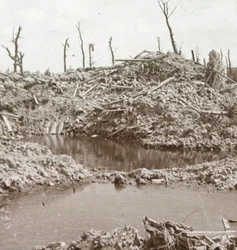 Banks of the River Yser, Diksmuide, Belgium, c1914-c1918