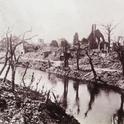 Banks of the Yser, Belgium
