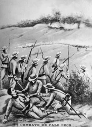 Battle of Palo Seco