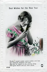 Best Wishes for the New Year, greetings card