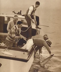 Big Game Fishing, Bay of Islands, New Zealand