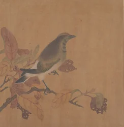 Bird on Branch