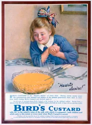 Birds Custard Advert
