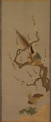 Birds in a Tree