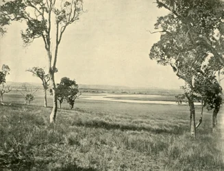 Black Swan Lagoon, near Warwick, Queensland, 1901