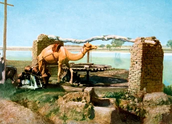 Camel and Shaduf, Luxor, Egypt, 20th Century