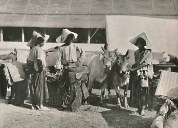 Caravan Scene with Shans at Bhamo