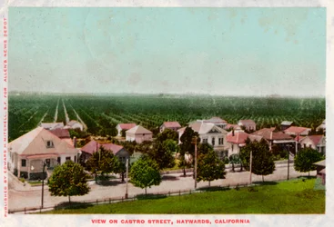 Castro Street, Hayward, California, 1905