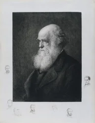 Charles Darwin, English naturalist, c. 1860s