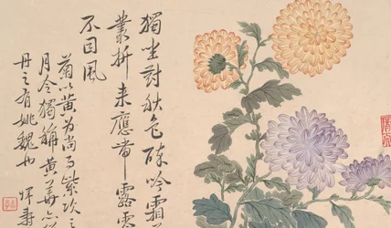 Chrysanthemums